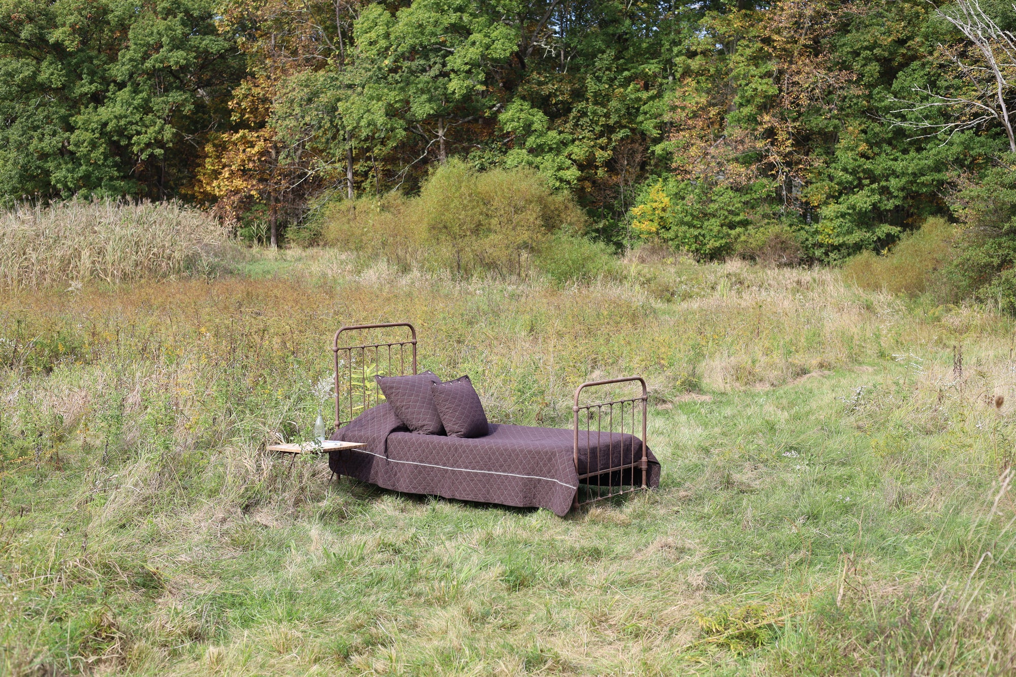Slideshow Image 1